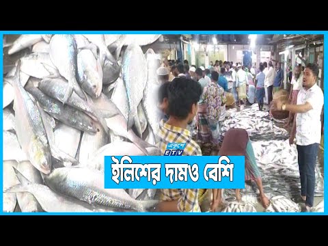 ভরা মৌসুমেও জমছে না ইলিশের মোকাম