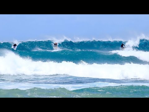Surfing Chun's Reef North Shore O'ahu Hawaii | 9/24/2024