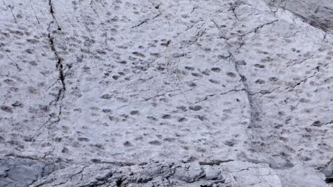 Scoperte migliaia di orme di dinosauri nel Parco dello Stelvio