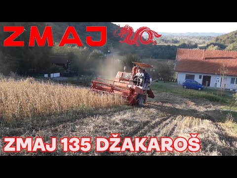 Sat vremena kombajniranja! Zmaj 135 džakaroš-vršaj soje 2020-selo Krivajica