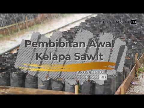 Untuk potensi preporaty Peningkatan efektif dalam anggota olahraga