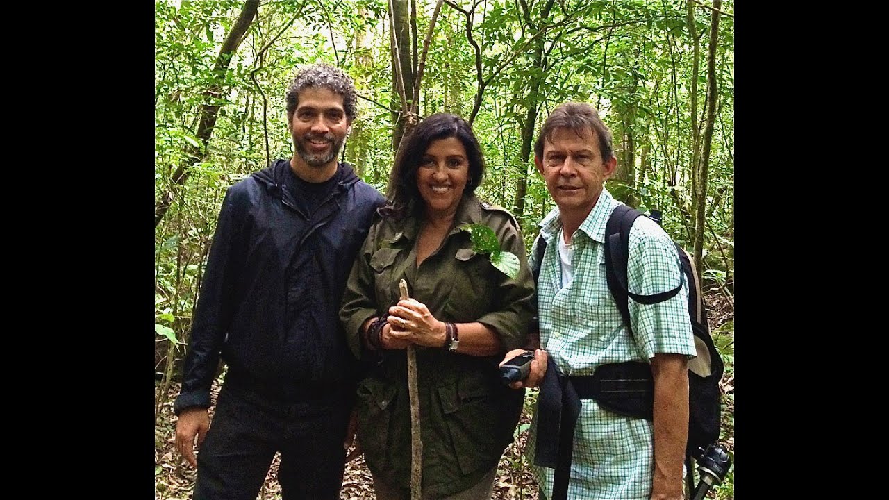 UPDQ Especial HARRI LORENZI