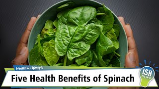 Five Health Benefits of Spinach