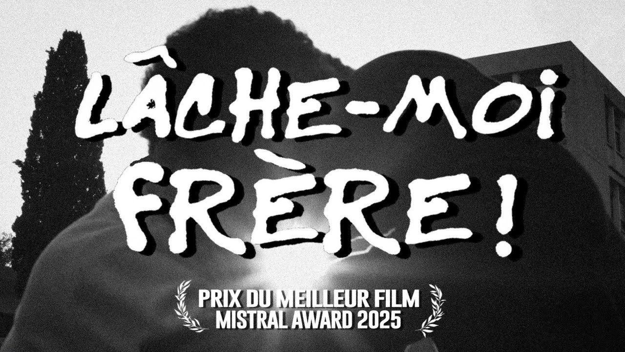 Miniature de la vidéo LÂCHE-MOI FRÈRE ! du film LÂCHE-MOI FRÈRE !