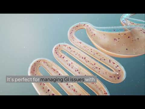 Healthy Pups Start Here The Essential Guide to Vet-Approved Dog Supplements