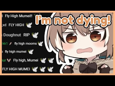 𝙁𝙡𝙮 𝙃𝙞𝙜𝙝, 𝙈𝙪𝙢𝙚𝙞