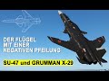 SU 47 Berkut And GRUMMAN X 29 Wing With The NEGATIVE Sweep