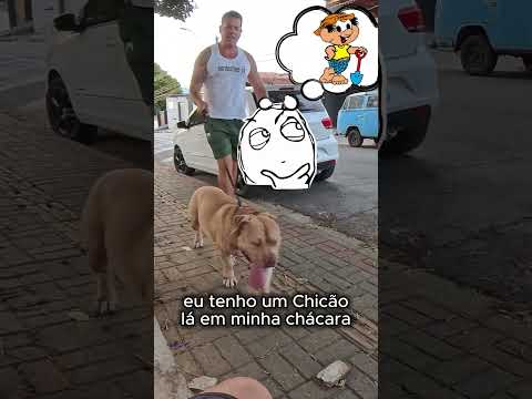 Um pezinho, um susto, um estranho... #pitbull #americanbully #pitmonster #meme #engraçados
