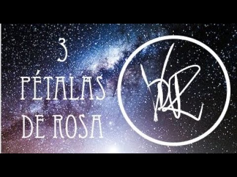 Moitinho.mc - Pétalas de Rosa