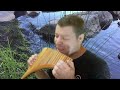 Instrumemtal Flauta Pan MARANATA AVIVAH CLIP COVER