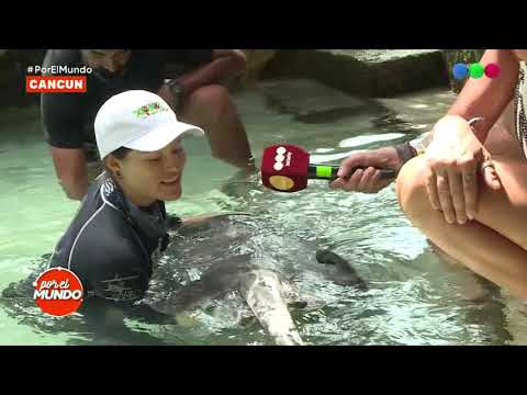 Marley y Flor Peña juegan con la raya de dos penes - Por el mundo 2019