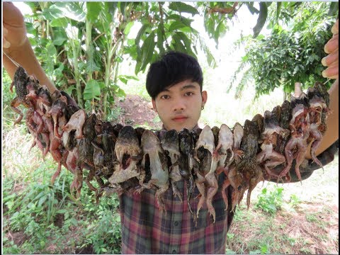 Awesome Cooking  With Frog Recipe Delicious   Cook Frog   Village Food Factory