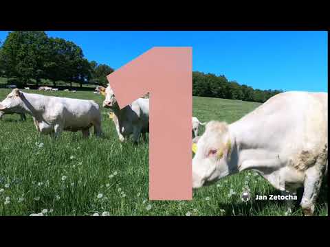 iReportér Jan Zetocha