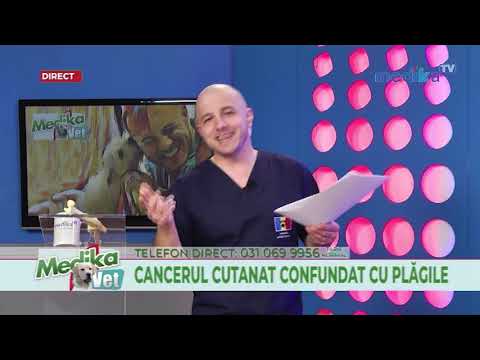 25 02 2019 MEDIKA VET - Şchiopătura şi problemele articulare