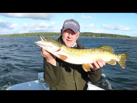 Angeln in der Mecklenburgischen Seenplatte