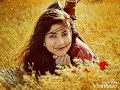 Tribute To Sai Pallavi