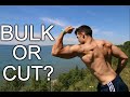 Should you Bulk or Cut? | How to Properly Bulk | Summer Flex Ep. 3