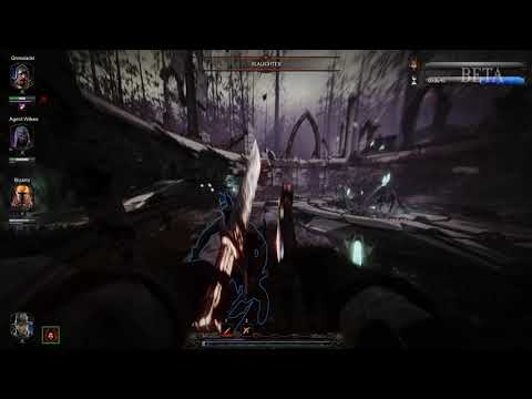 Vermintide 2: Winds of Magic - Beta (Weave 25) WHC