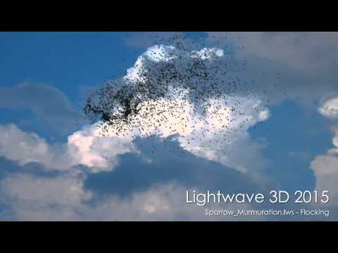Lightwave 3D: Sparrow Murmuration Rendered