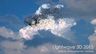 Lightwave 3D: Sparrow Murmuration Rendered