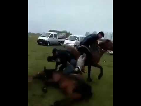 Офатхои Чахон бузкаши