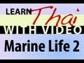 Learn Thai with Video - Marine Life 2