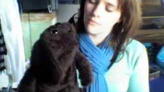 New York by Stephen Fretwell