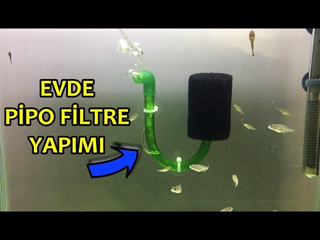 PİPO FİLTRE YAPIMI | 4500 Abone Teşekkürler | DIY Aquarium Sponge Filter |