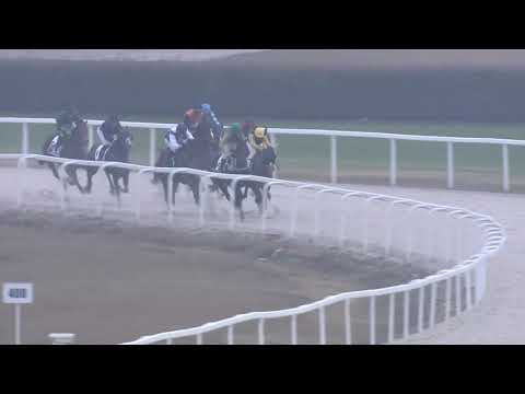 2018.11.25. 09. futam - VISZONTLÁTÁSRA HENDIKEP (V.o.) (szintetikus pálya)