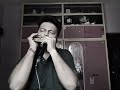 baundule ghuri #harmonicacover #instrumental #arijitsingh #shreyaghoshal
