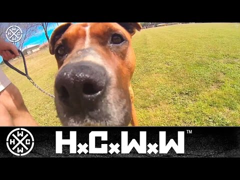 STAUNCH - HURT TO LEARN - HARDCORE WORLDWIDE (OFFICIAL D.I.Y. VERSION HCWW)