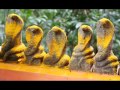 K J Yesudas Mannarasala Nagaraja Song Mannarasalayil