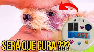 TECNOLOGIA A FAVOR DOS CÃES