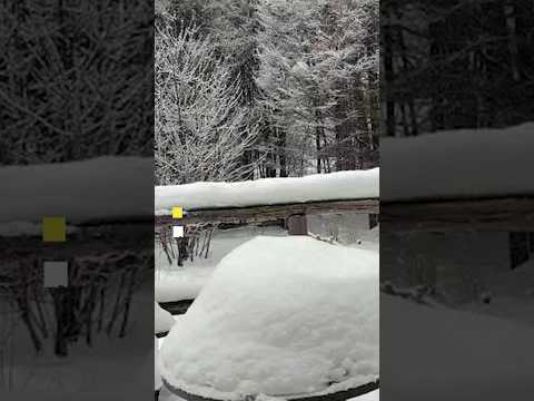 Nieva en la región de Aysén