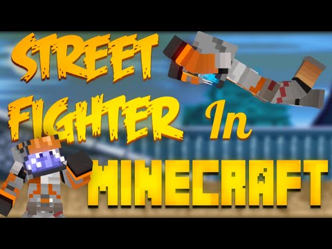 Minecraft Street Fighter!