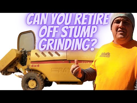 Can You Retire Off Stump Grinding?