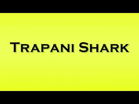 Pronunciation of Trapani Shark