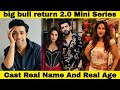 Big Bull Return 2 0 Mini Series Cast Real Name Age Full Details Kuku TV