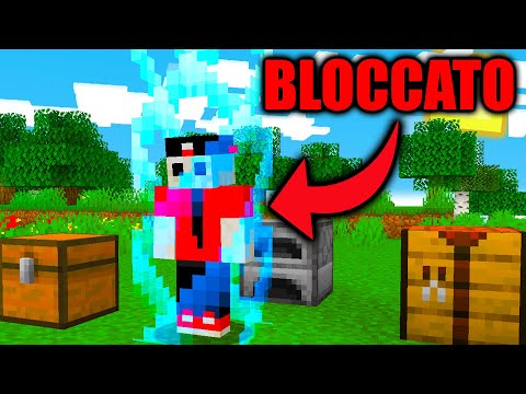 MINECRAFT MA SONO BLOCCATO NELLE BARRIERE