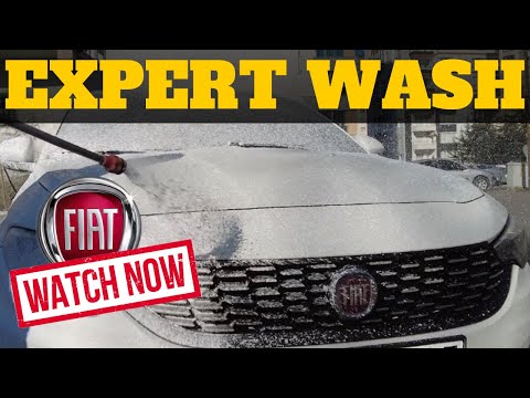 "Ageless Elegance Unleashed! 🔥FIAT EGEA Car Wash Magic | Trending Auto Spa Transformation! ✨🚗"