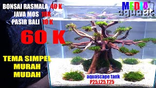 Tutorial aquascape Pohon Bonsai untuk Pemula
