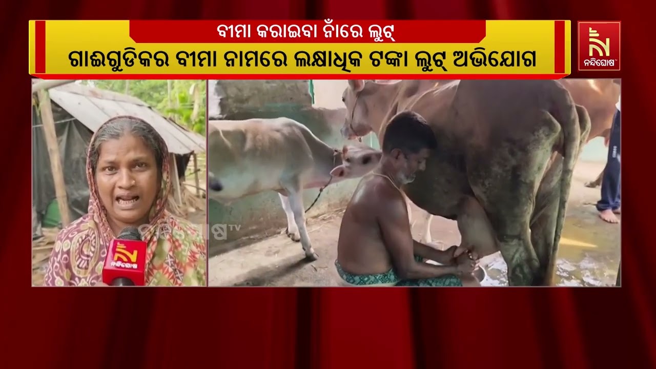 ଜଗତସିଂହପୁର ଦୁଗ୍ଧ ଚାଷୀ ତଥା ଗୋପାଳଙ୍କ ଗାଈଙ୍କ ନାଁରେ ବୀମ?