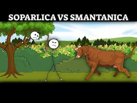 NEBUNII CU VACA: Șopârlică VS Smântânica