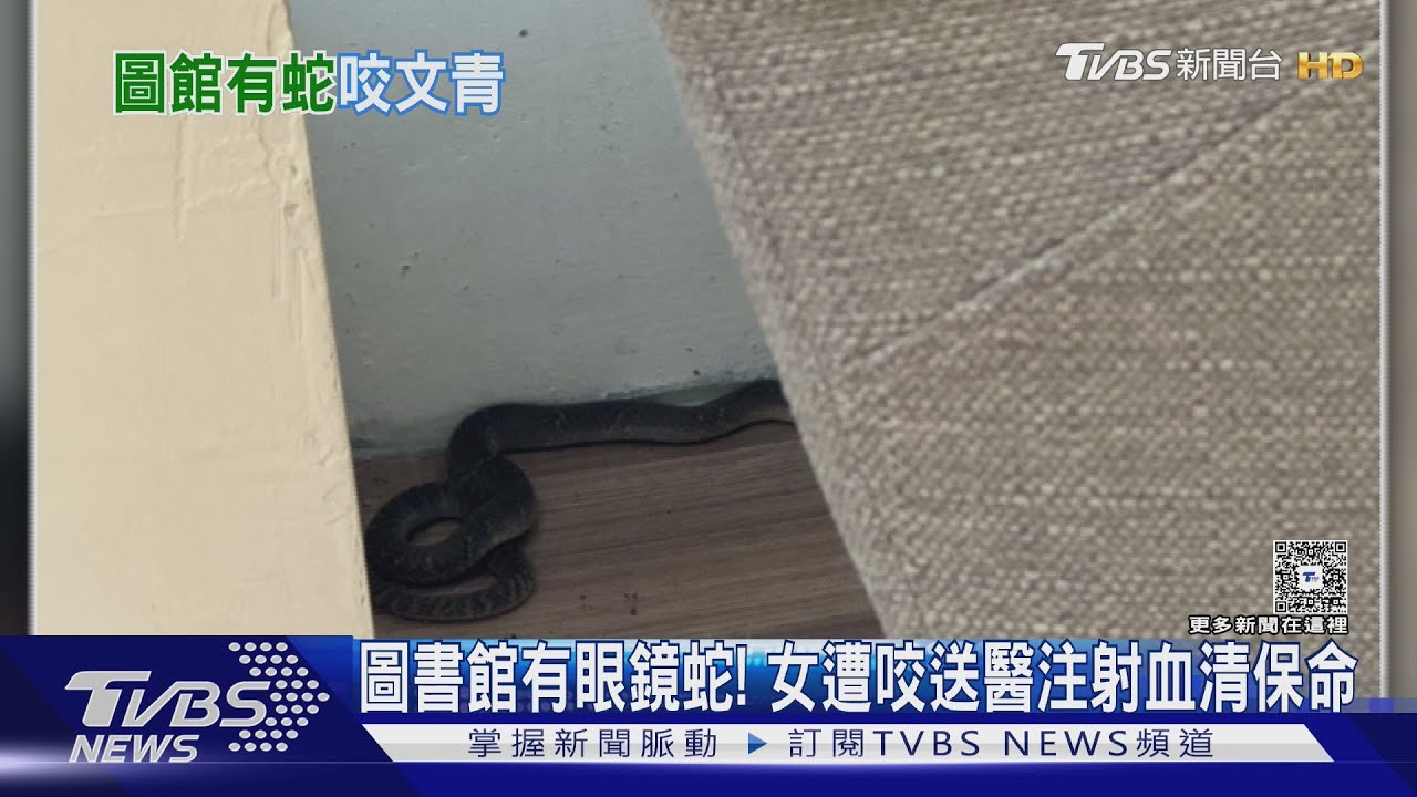 眼鏡蛇出沒!台中圖書館驚見毒蛇 41歲女遭咬送醫急注射血清