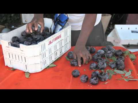 download lagu mp3 mp4 Phat Beets Oakland, download lagu Phat Beets Oakland gratis, unduh video klip Phat Beets Oakland