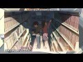 MAD 西野カナ Missing You