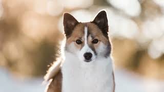 Rayya's second birthday