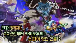 【원피스】드디어 밝혀지나..!? 밀짚모자 일행에 스며든 20년전부터 카이도우의 스파이었던 인물!! +쿄시로의 정체!?