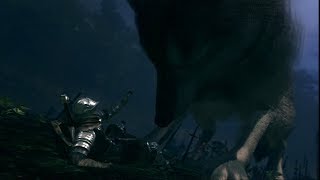 【DARK SOULS】カンスト世界に行ってみよう    灰の大狼戦【実況】