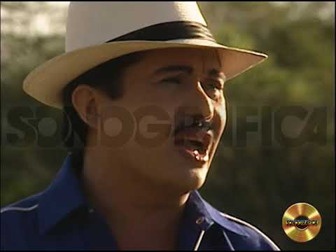 ES DIFERENTE - Luis Silva